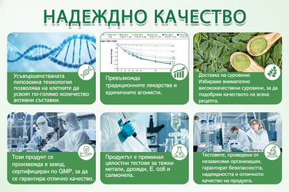 💖Създаден съгласно стандартите за качество и безопасност в България и Европейския съюз👨‍⚕️ | 🌿 𝐆𝐅𝐎𝐔𝐊® 𝐌𝐨𝐫𝐢𝐧𝐠𝐚 · 𝐁𝐞𝐫𝐛𝐞𝐫𝐢𝐧𝐞 × 𝐍𝐀𝐃+ 𝟏𝟎-в-𝟏 усъвършенстван нано микроиглен пластир | 💝 Подкрепен от научни изследвания | 𝟏𝟎-в-𝟏 формула | Резултати само за 𝟕 дни